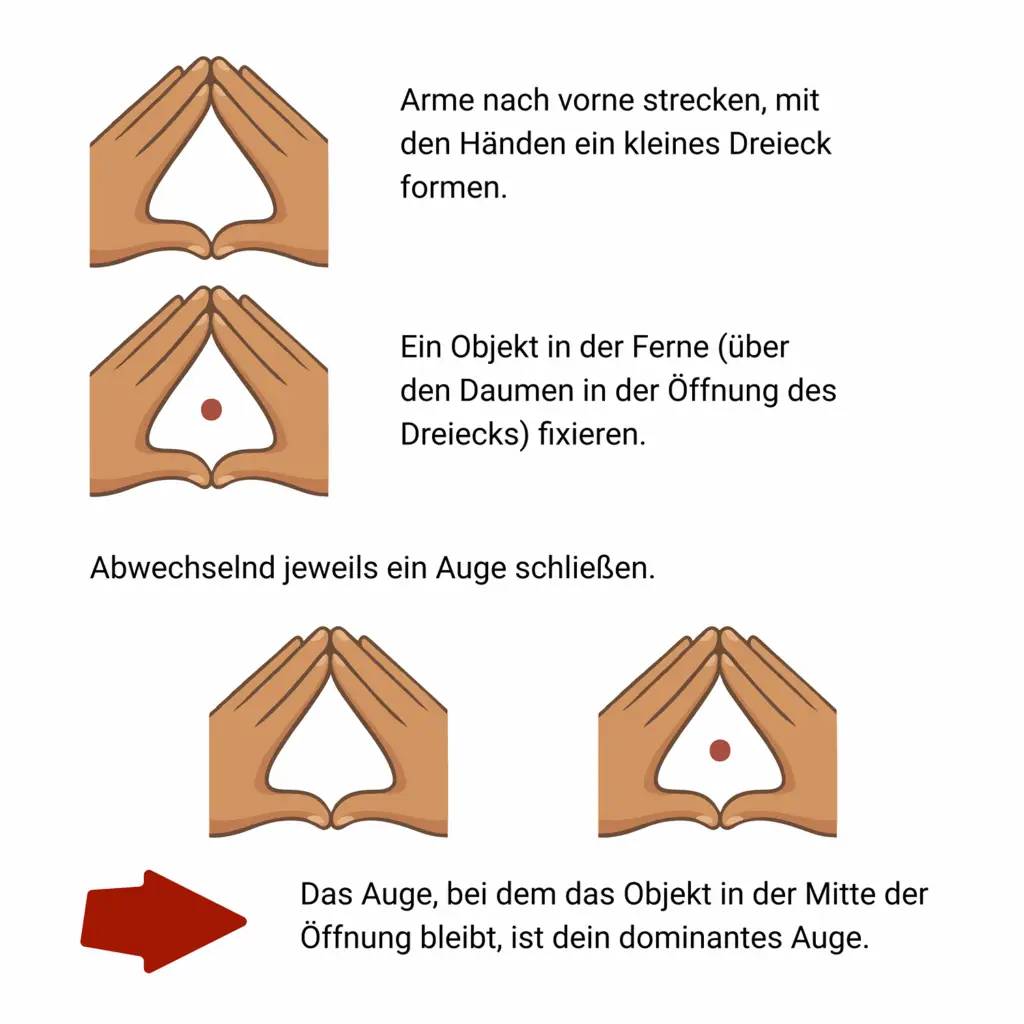 Dominantes Auge beim Bogenschießen – Test & Bedeutung 1 dominantes Auge - test zur Feststellung des dominanten Auges
